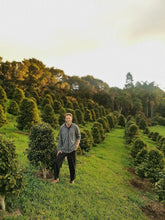 New Zealand Grown Coffee - Pekerau Hills Coffee Farm - ROASTED
